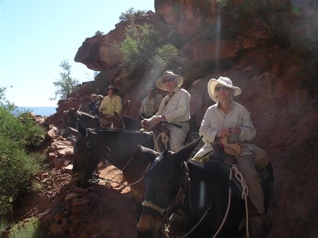 images/B- Mule Ride, riding down in to Grand Canyon (10).jpg